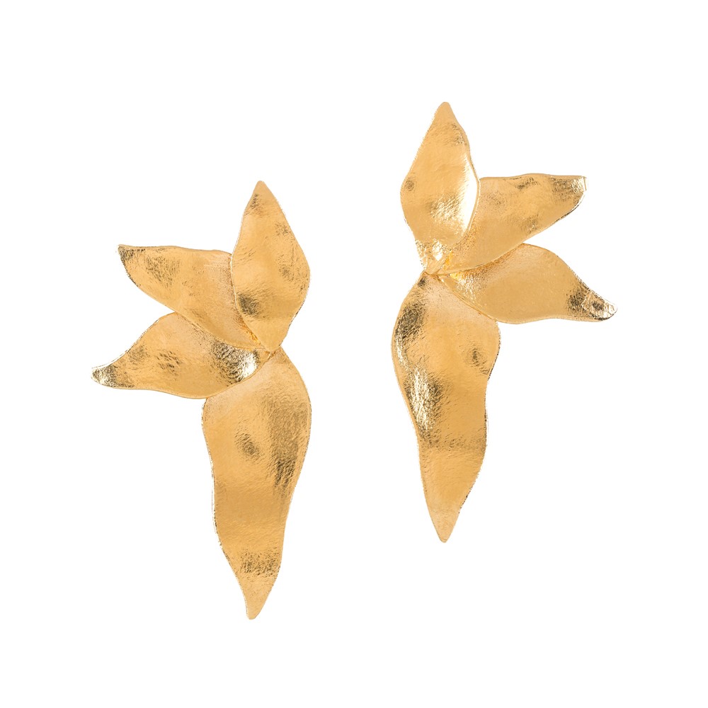 Brincos
